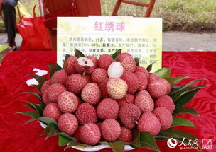 港北区武乐镇举办首届荔枝节暨特色农产品展销会
