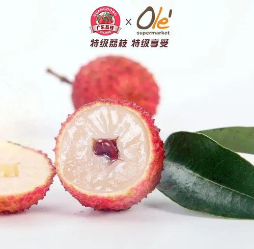 桂味驾到，百果让道